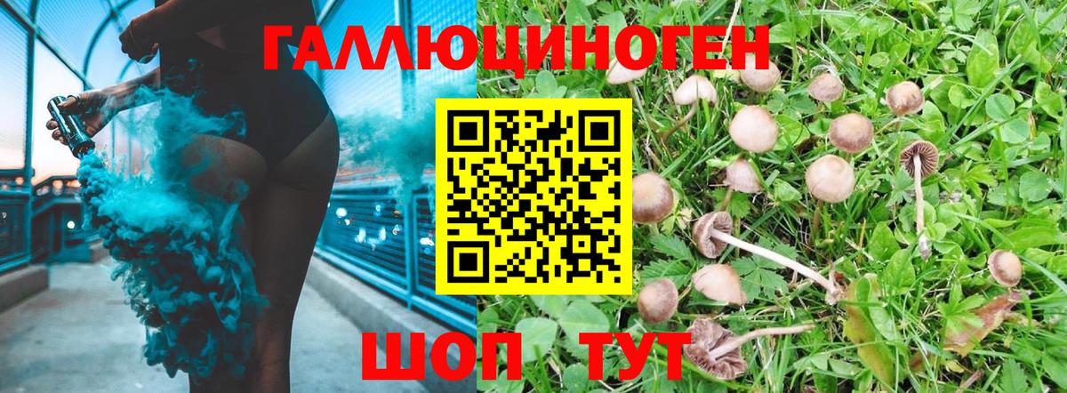 Первоуральск  Псилоцибиновые грибы ЛСД  Вход с VPN  Псилоцибиновые грибы Psilocybe 